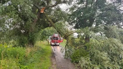 Trzy ofiary śmiertelne, tysiące interwencji