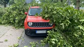 Drzewo spadło na auto