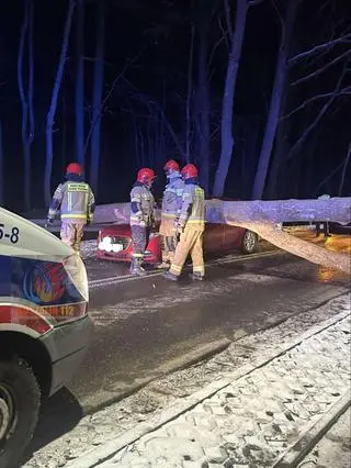 Drzewo spadło na jadący samochód