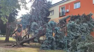 Skutki nawałnicy w Mielcu