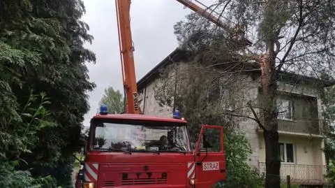 Zniszczenia po burzy w woj. lubelskim