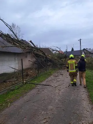 Okleśna, drzewa spadły na budynek