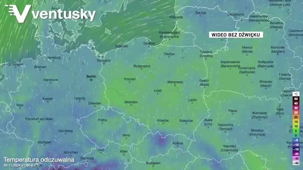 Prognozowana temperatura w kolejnych dniach 