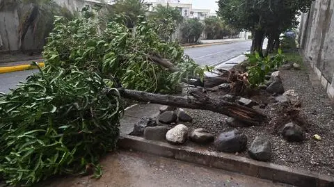 Zniszczenia na Jamajce