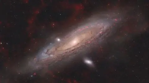 Andromeda i Przyjaciele
