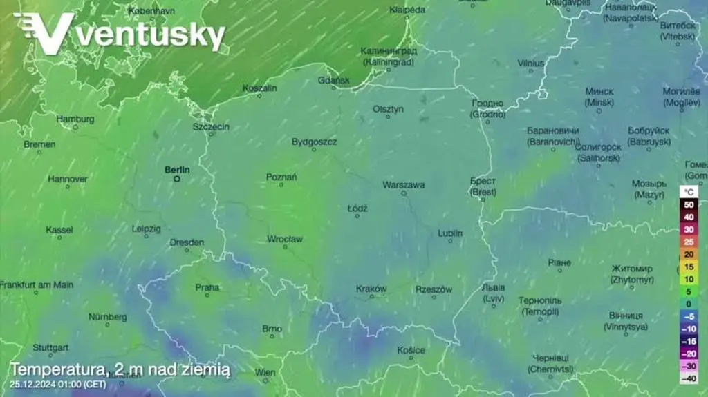 Prognozowana temperatura w kolejnych dniach