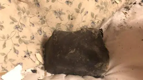 Meteoryt wylądował na poduszce