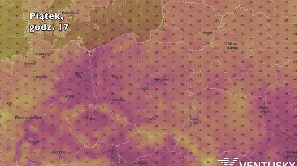 Temperatura w ciągu najbliższych pięciu dniu (Ventusky