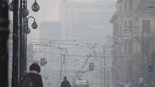 Mieszkańcy Wrocławia o jakości powietrza w ich mieście