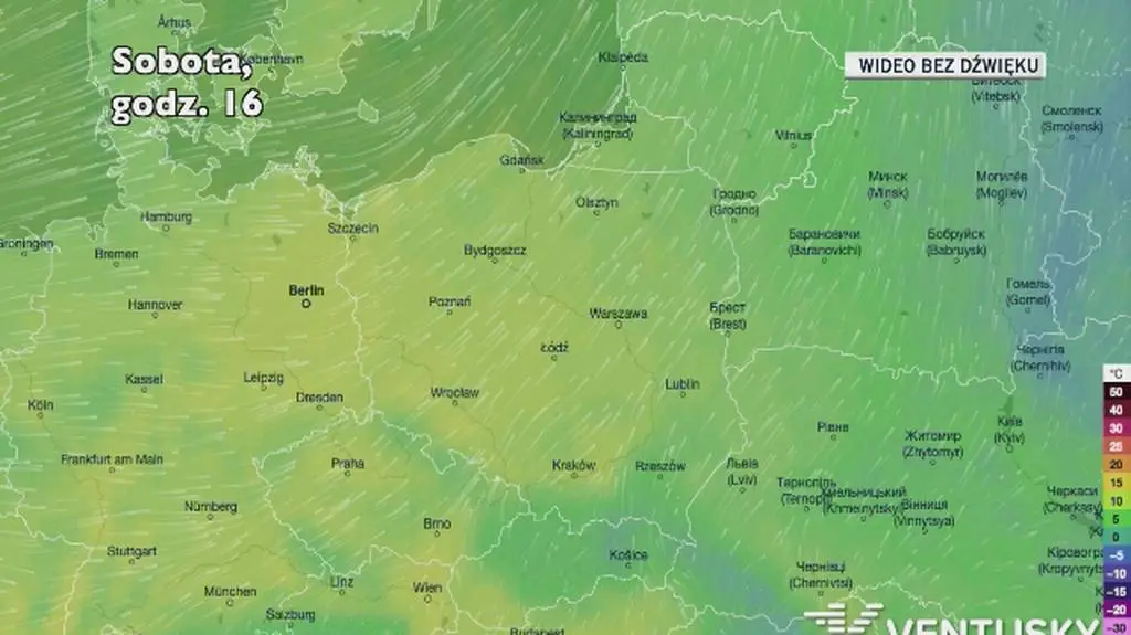 Prognozowana temperatura w najbliższych dniach