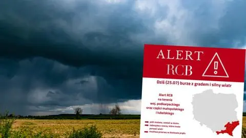 Alert RCB dla części kraju. "Jeśli możesz, zostań w domu"