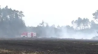 Pożar lasu i traw w miejscowości Jeziory Wysokie