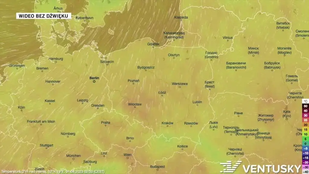 Prognozowana temperatura na kolejne dni