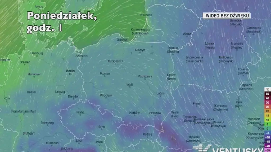 Temperatura w ciągu kolejnych dni (Ventusky