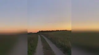 Żurawie szykują się do odlotu