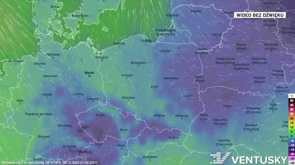 Prognozowana temperatura na kolejne dni