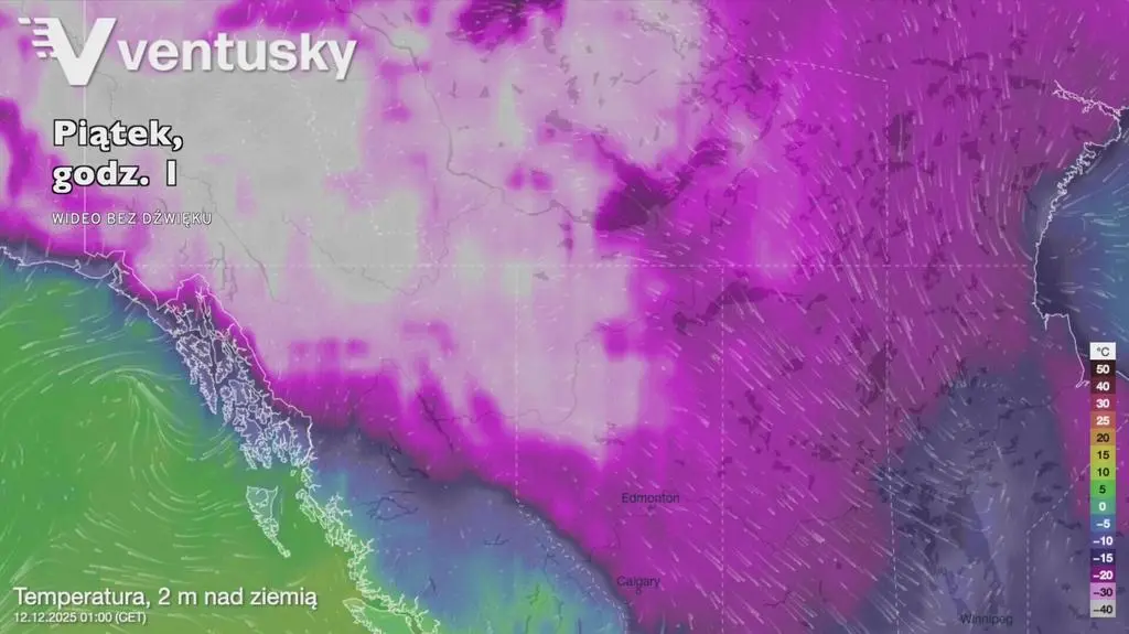 Klatka kluczowa-97398