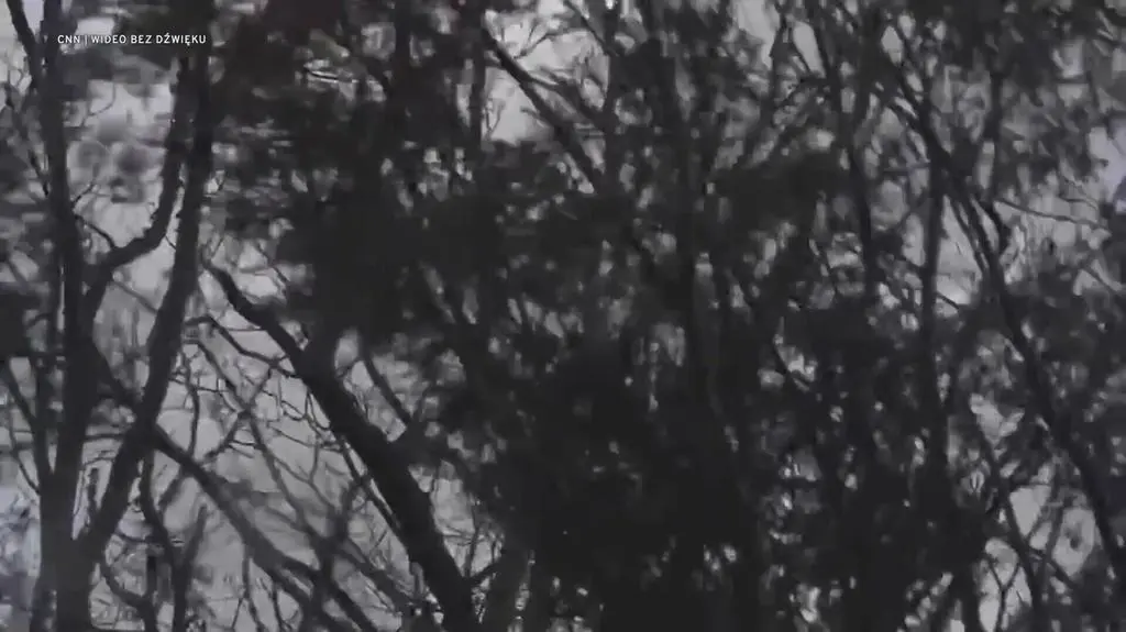 Klatka kluczowa-111815