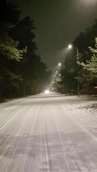 Nocne opady śniegu w okolicach Warszawy
