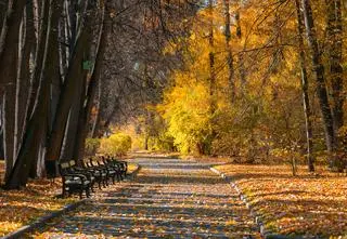 Słonecznie, do 14 stopni. Pogoda na dziś