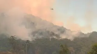 Drzewo przygniotło strażaka. Nie przeżył