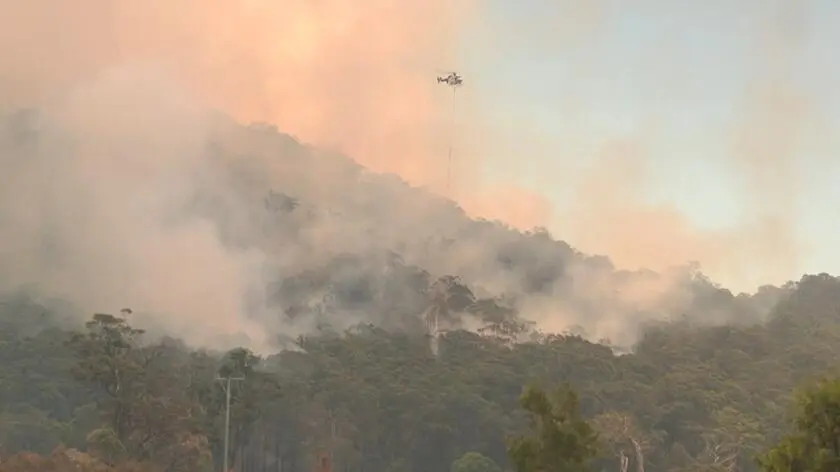 Drzewo przygniotło strażaka. Nie przeżył