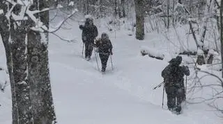 Śnieg spadł w Tatrach