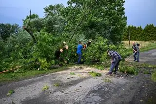 Mieszkańcy usuwają drzewo powalone po burzy w Nehrybce (Podkarpackie)