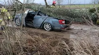 Na auto, którym jechała kobieta, spadło drzewo 