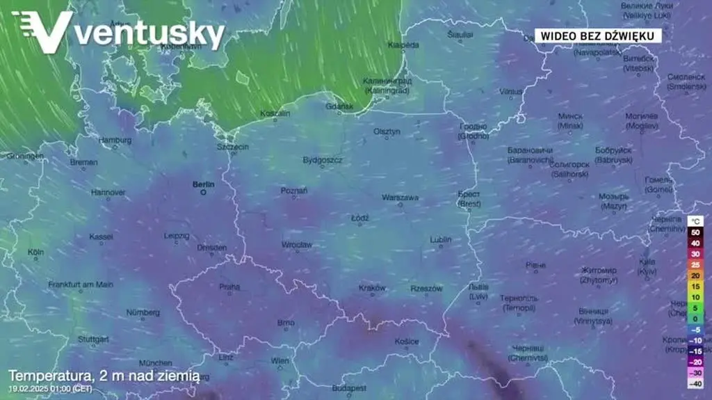 Prognozowana temperatura w kolejnych dniach