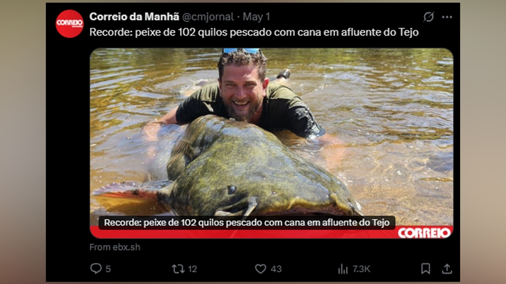 Złowił ponad 100-kilogramowego suma