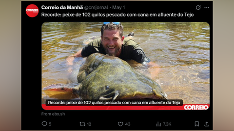Joaquim Jonqueres złowił ponad 100-kilogramowego suma