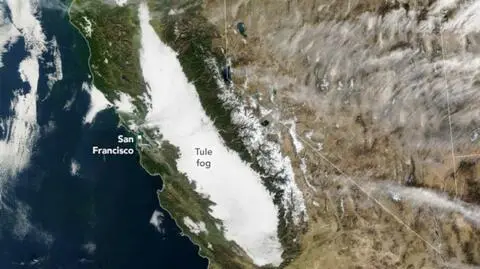 Mgła tule nad Kalifornią