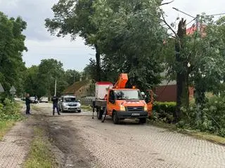 Powalone drzewa w miejscowości Goszcz, woj. dolnośląskie