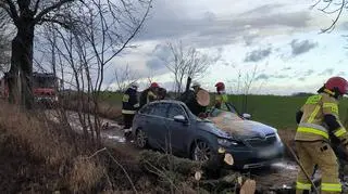 Na auto, którym jechała kobieta, spadło drzewo 