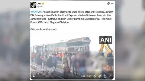 Pociąg w Indiach zderzył się ze stadem słoni