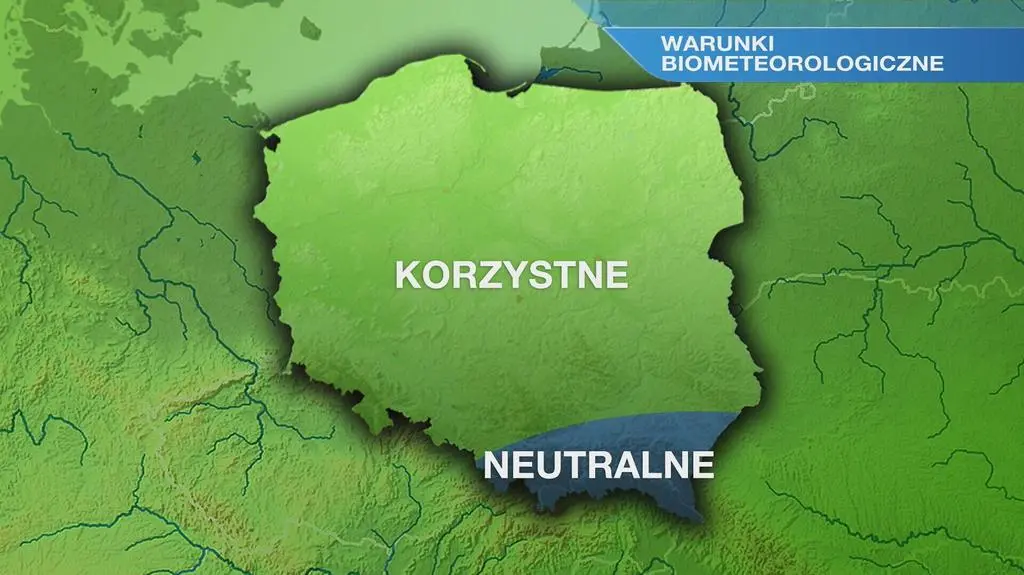 Klatka kluczowa-5605