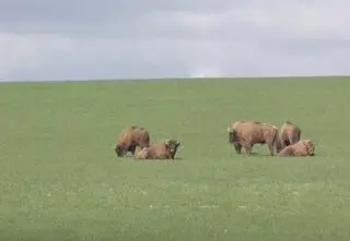 To warto obejrzeć. Jak znosić nagłe załamanie pogody