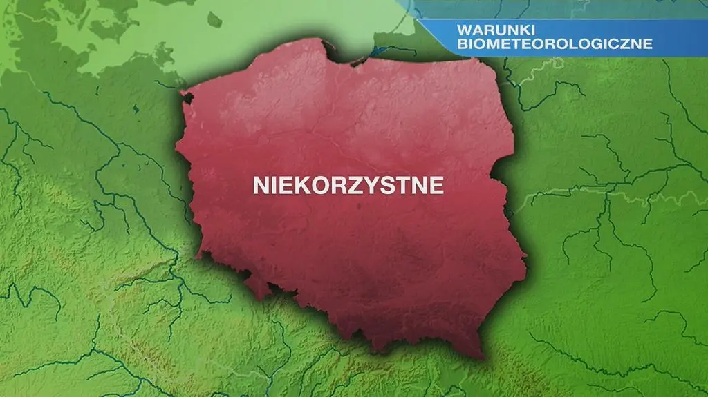 Klatka kluczowa-12179