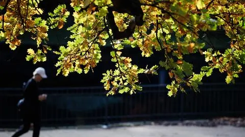 Jesień, ciepło, słońce