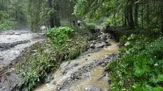 Lawina błotna w Tatrach