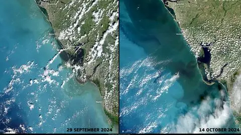 Satelita uchwycił ciemną plamę u wybrzeża Florydy. Skąd się wzięła?
