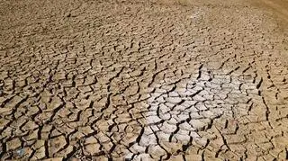 Trwa walka z suszą. Chcą wywołać sztuczny deszcz