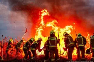 Pożar w Biebrzańskim Parku Narodowym