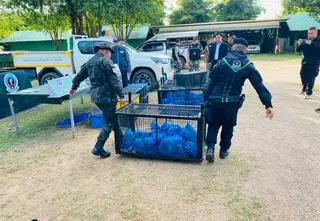 Podejrzane worki w aucie. W środku 80 małp i narkotyki