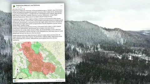 Przedłużony zakaz wstępu do lasu. Okiść nadal zagraża turystom