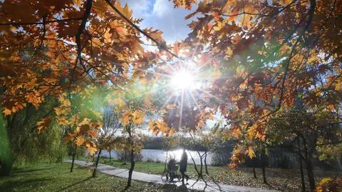 Jesień, słońce, ciepło