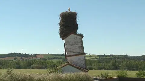 Gigantyczne bocianie gniazdo z Hiszpanii