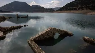 epa11575339