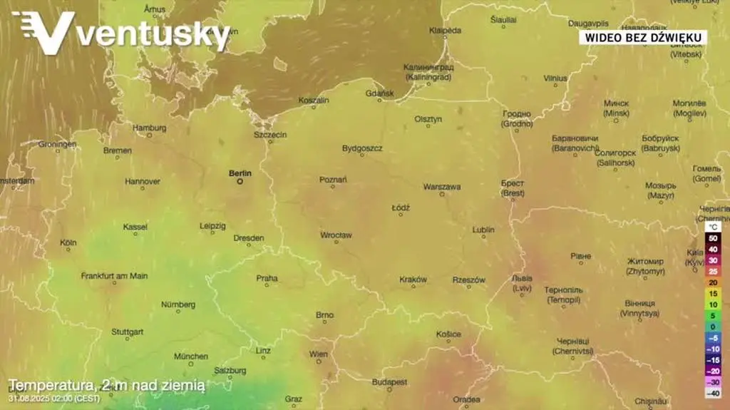 Prognozowana temperatura w kolejnych dniach